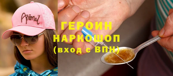 гидра Богородицк
