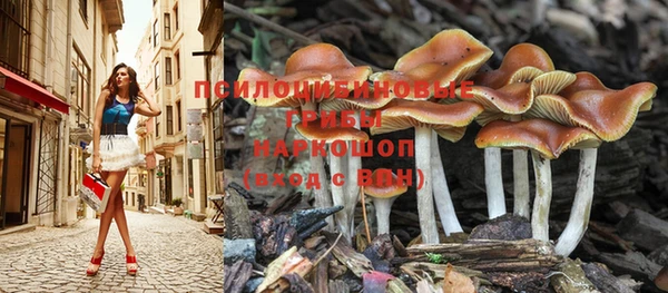 гидра Богородицк