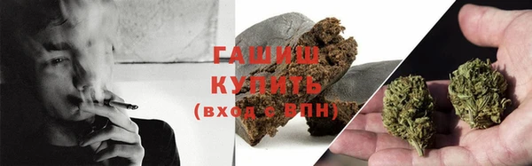гидра Богородицк