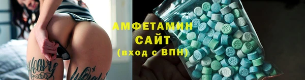 гидра Богородицк
