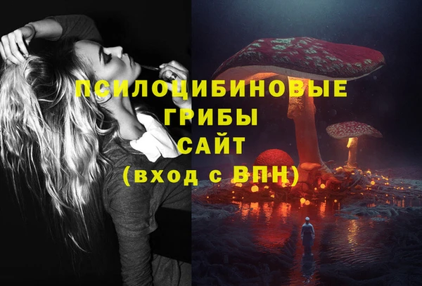 бутират Богданович