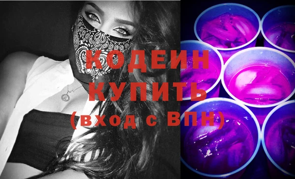 гидра Богородицк
