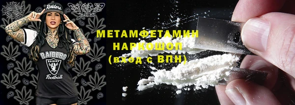 гидра Богородицк