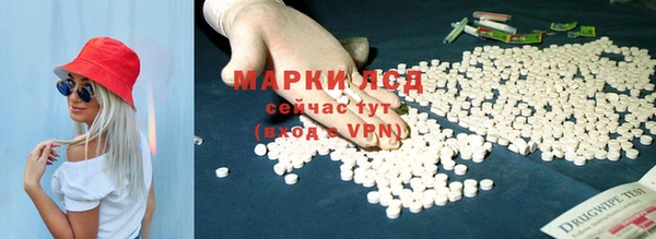 гидра Богородицк