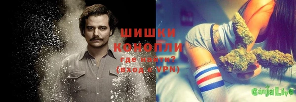 гидра Богородицк