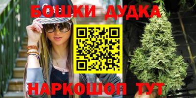гашик Нальчик