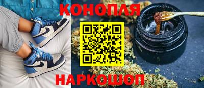 гашик Нальчик