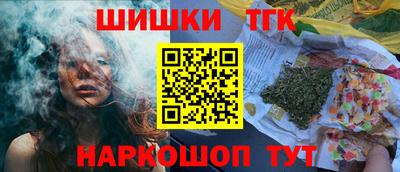 гашик Нальчик