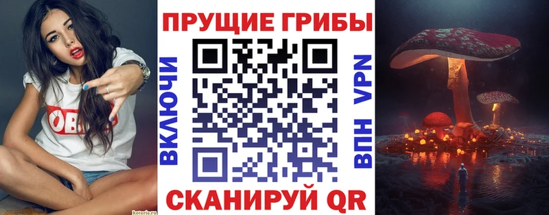 Псилоцибиновые грибы прущие грибы  купить  цена  Среднеуральск 
