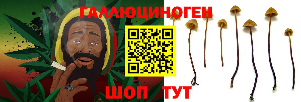 Среднеуральск  Псилоцибиновые грибы Magic Shrooms  Вход с VPN 